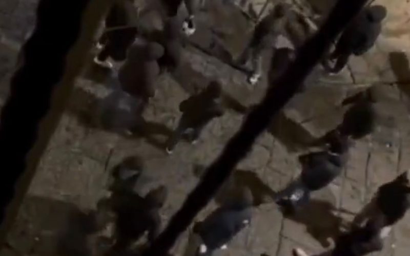 🎥 VERGOGNA a Napoli: agguato ai tifosi del Chelsea in un pub della città! La ricostruzione 💥