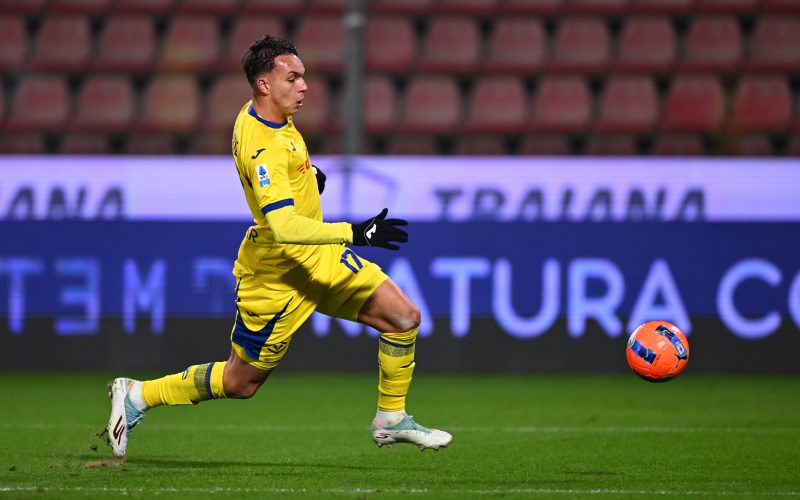 🗣️ Giovane: “Giocare nel Napoli un sogno, il gruppo è motivato! Sullo stadio…”